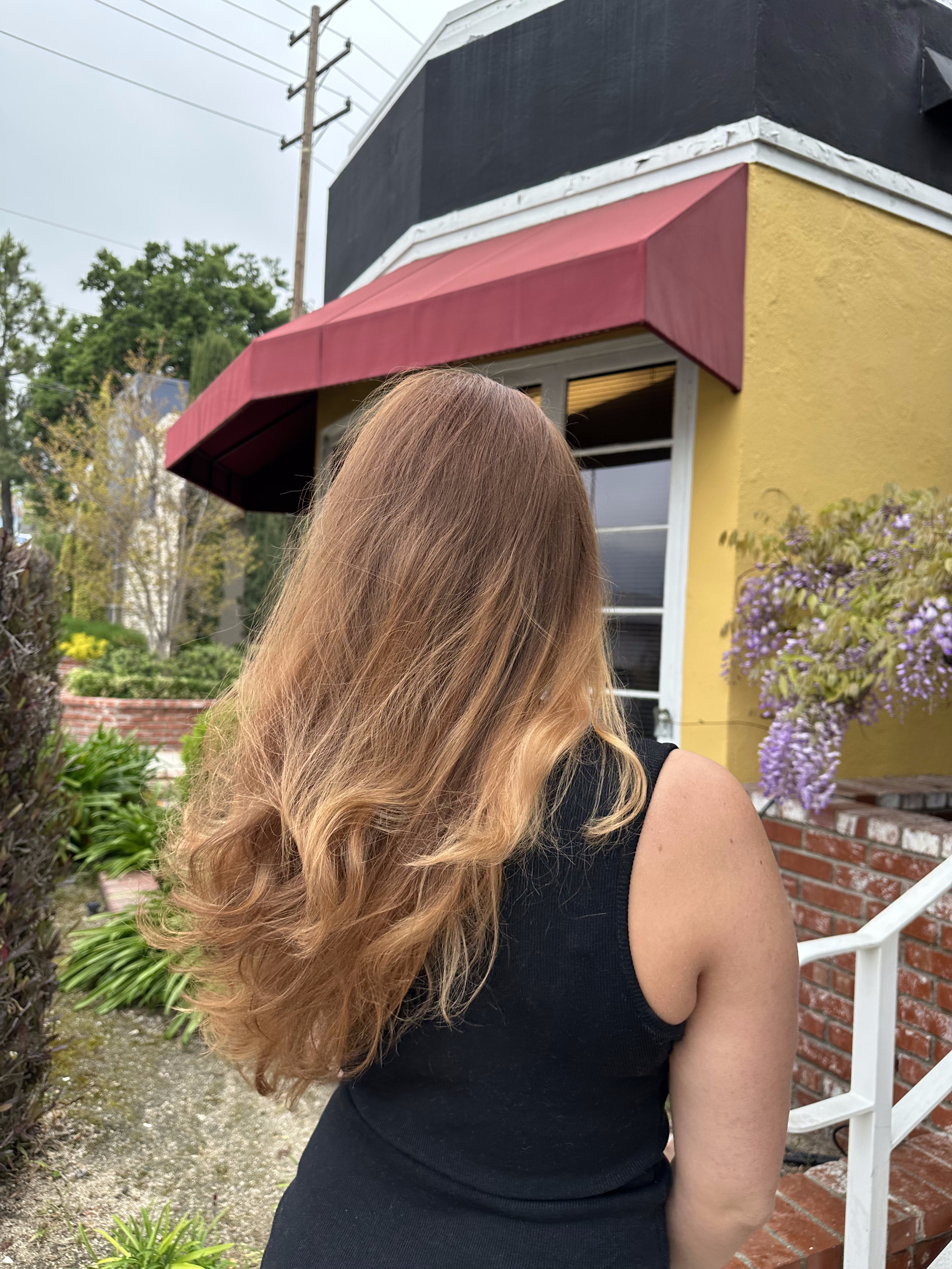 Chameleon Salon client results